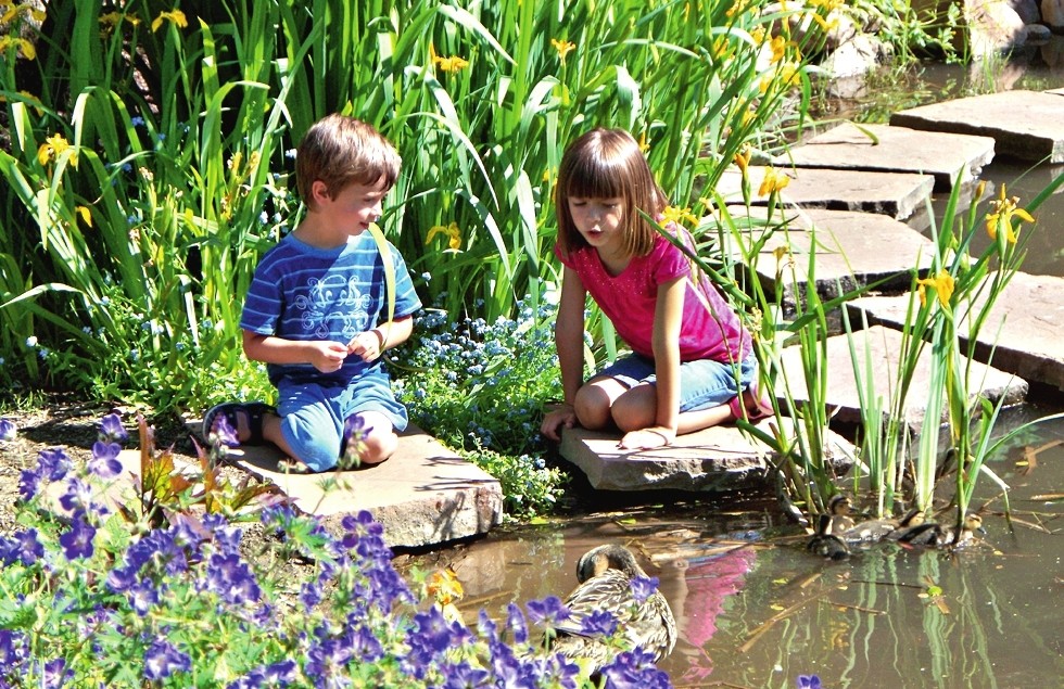 Place fragrant flower beds, mini ponds and fountains or alpine slides near the recreation area.