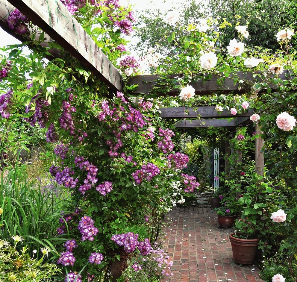 You can install a canopy or pergola in the corner.