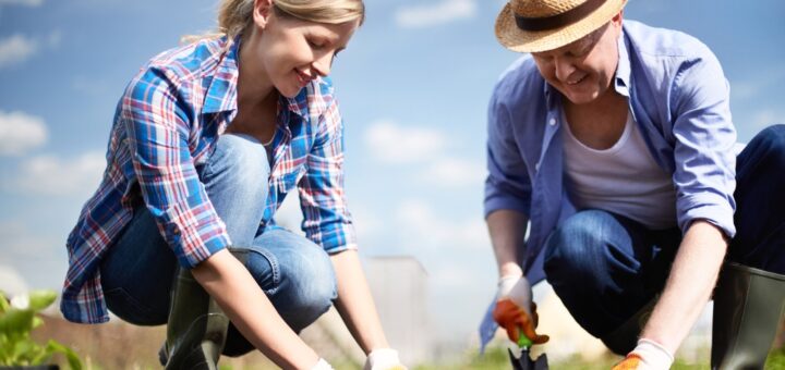 The 15 most common mistakes when planting plants