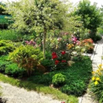 Rose bed at the cottage: the best varieties, design ideas, combinations with other plants (80 photos) Deciding on a concept