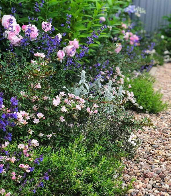 Deciding on a concept