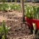 How to plant irises: choosing a variety, timing, rules, and a visual planting diagram How to plant irises