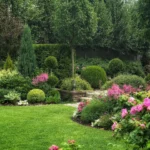 Rose bed at the cottage: the best varieties, design ideas, combinations with other plants (80 photos) ornamental shrubs