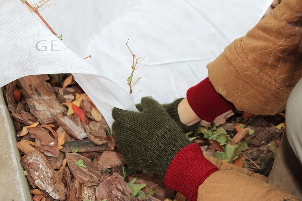 Post-procedure care and preparation for winter