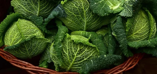 Types of cabbage: 11 photos with names and descriptions, listing of the best varieties Types of cabbage