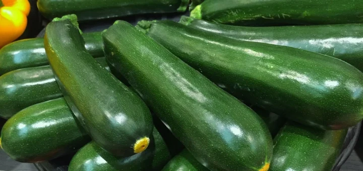 What to plant after zucchini next year: 12 good plants and 4 bad ones What to plant after zucchini next year