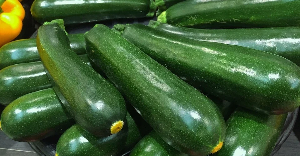 What to plant after zucchini next year: 12 good plants and 4 bad ones What to plant after zucchini next year