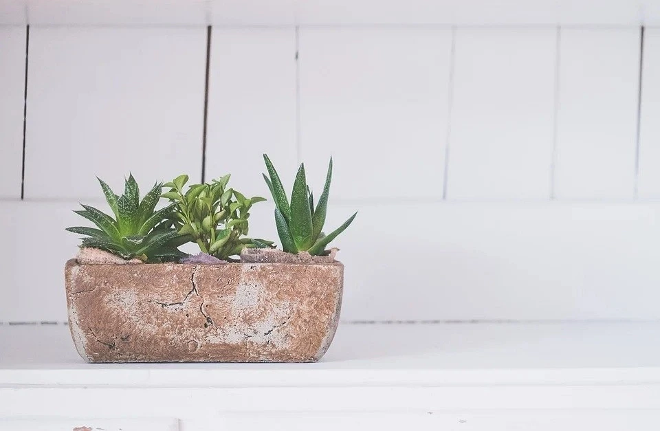 Pay attention to clay, not plastic
