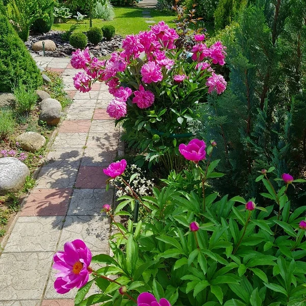 How to apply fertilizer