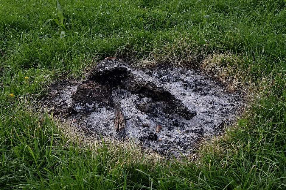 Ash powder