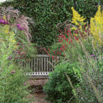 Ornamental grasses in the garden: grass varieties, features of creating and caring for grass gardens Ornamental grasses in the garden